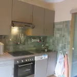 Haus Ortner Apartment Russbach am Pass Gschuett