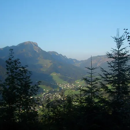 Haus Ortner Russbach am Pass Gschütt