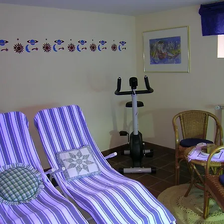 Haus Ortner Apartment Russbach am Pass Gschuett