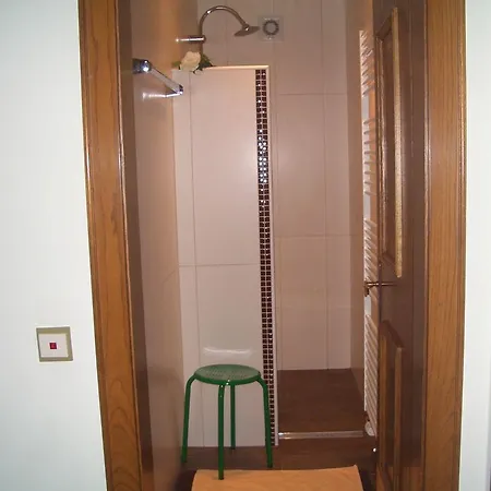 Apartment Haus Ortner Russbach am Pass Gschuett
