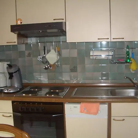 Haus Ortner * Russbach am Pass Gschütt