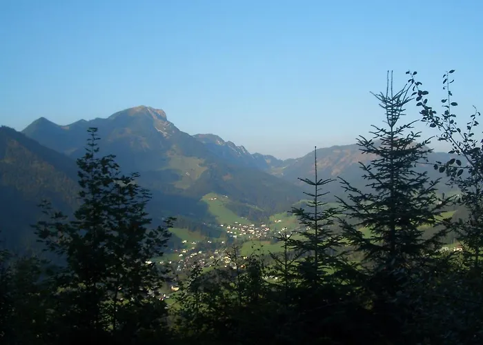 Haus Ortner Russbach am Pass Gschütt