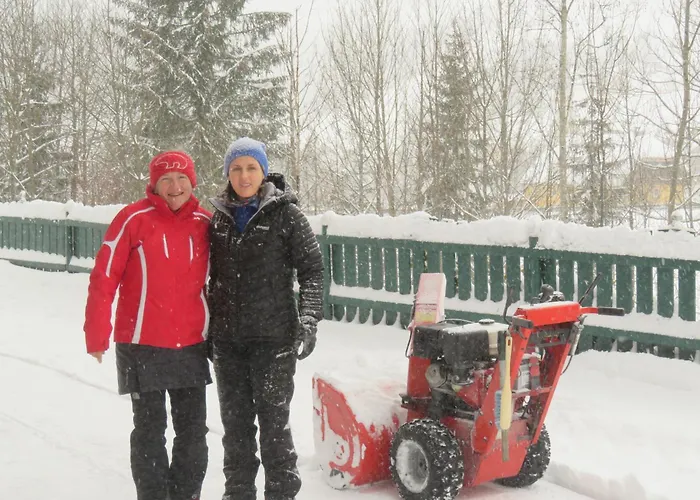 Haus Ortner * Russbach am Pass Gschütt